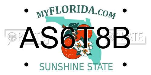 AS6T8B Florida License Plate