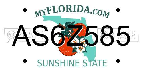 AS6Z585 Florida License Plate