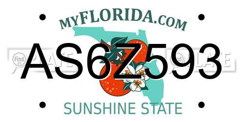 AS6Z593 Florida License Plate