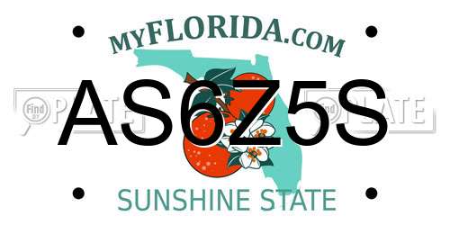 AS6Z5S Florida License Plate