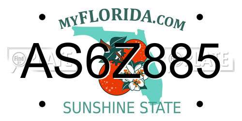 AS6Z885 Florida License Plate