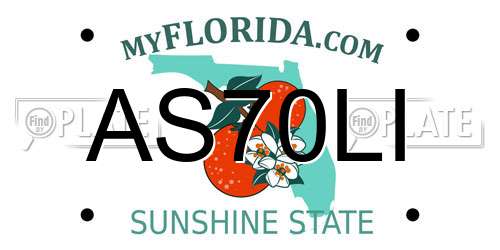 AS70LI Florida License Plate