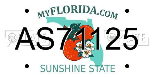 AS71125 Florida License Plate