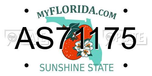 AS71175 Florida License Plate