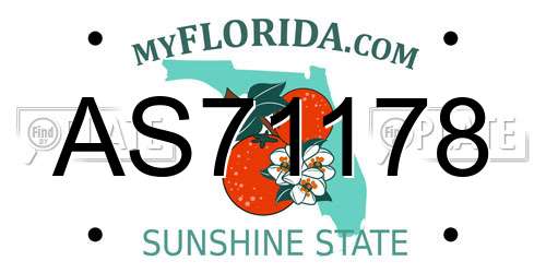 AS71178 Florida License Plate