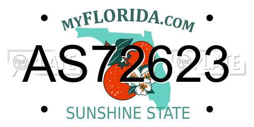 AS72623 Florida License Plate