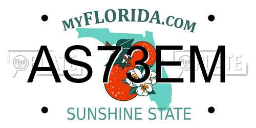 AS73EM Florida License Plate