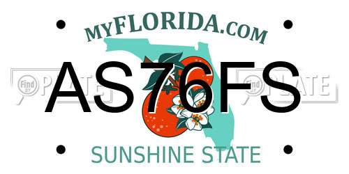 AS76FS Florida License Plate