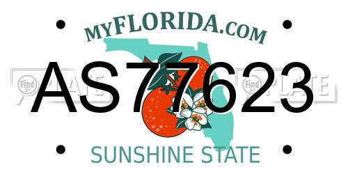 AS77623 Florida License Plate
