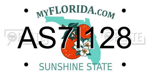 AS7I128 Florida License Plate