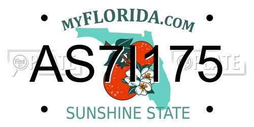 AS7I175 Florida License Plate