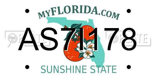 AS7I178 Florida License Plate
