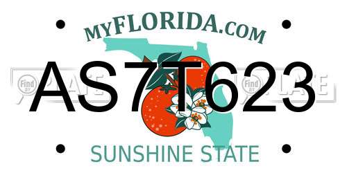AS7T623 Florida License Plate