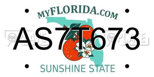 AS7T673 Florida License Plate