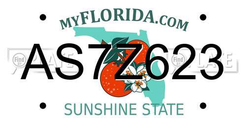AS7Z623 Florida License Plate