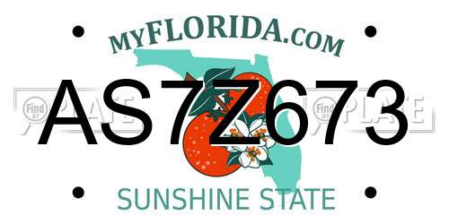 AS7Z673 Florida License Plate