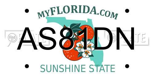 AS81DN Florida License Plate