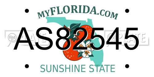 AS82545 Florida License Plate