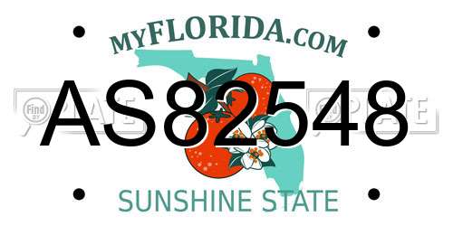 AS82548 Florida License Plate