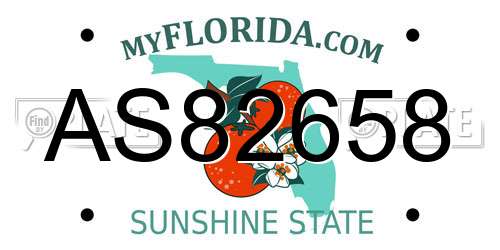 AS82658 Florida License Plate