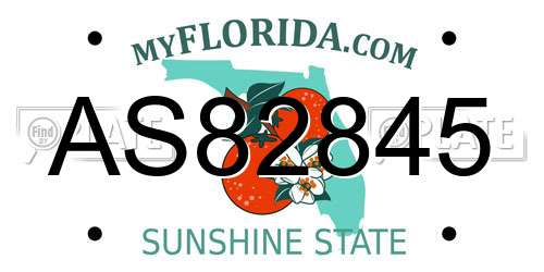 AS82845 Florida License Plate
