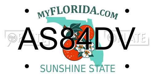 AS84DV Florida License Plate