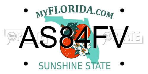 AS84FV Florida License Plate
