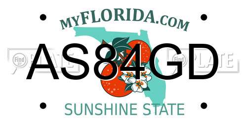 AS84GD Florida License Plate