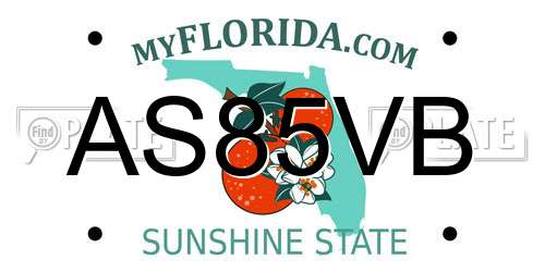 AS85VB Florida License Plate