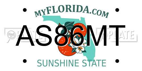 AS86MT Florida License Plate
