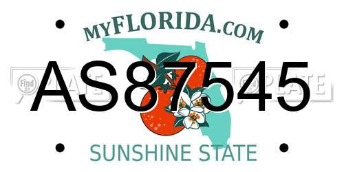 AS87545 Florida License Plate