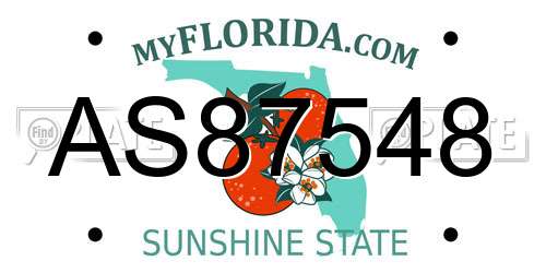 AS87548 Florida License Plate