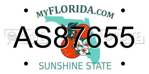 AS87655 Florida License Plate
