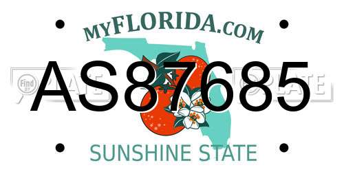 AS87685 Florida License Plate