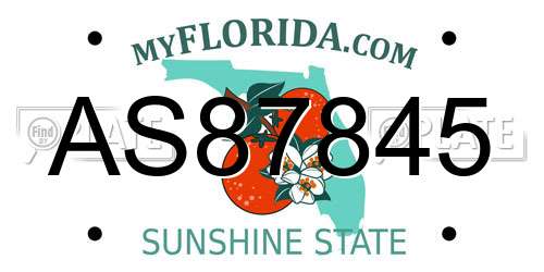AS87845 Florida License Plate