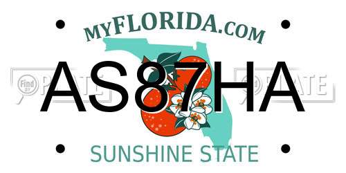 AS87HA Florida License Plate
