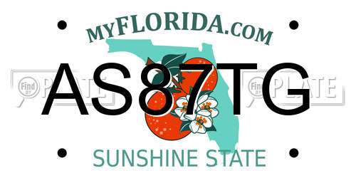 AS87TG Florida License Plate