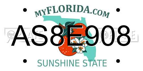 AS8E908 Florida License Plate