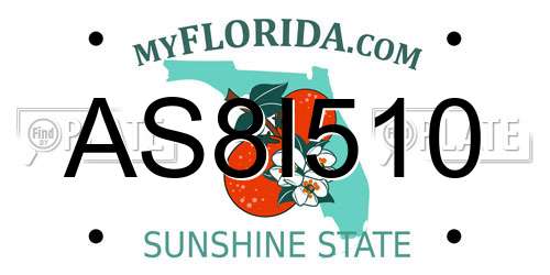 AS8I510 Florida License Plate