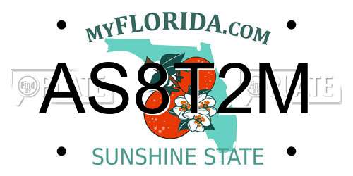 AS8T2M Florida License Plate