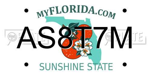 AS8T7M Florida License Plate