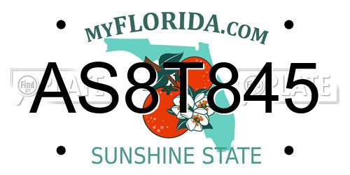AS8T845 Florida License Plate