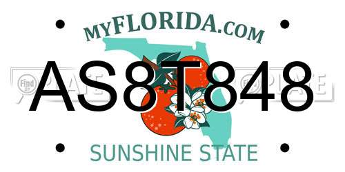 AS8T848 Florida License Plate