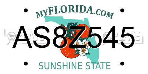 AS8Z545 Florida License Plate