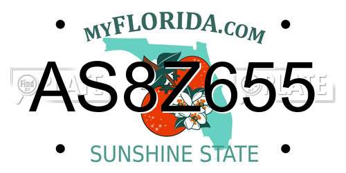 AS8Z655 Florida License Plate