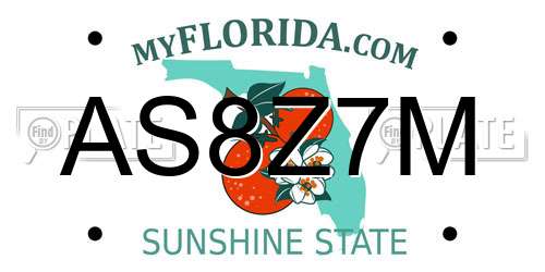 AS8Z7M Florida License Plate