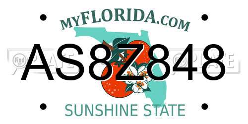AS8Z848 Florida License Plate
