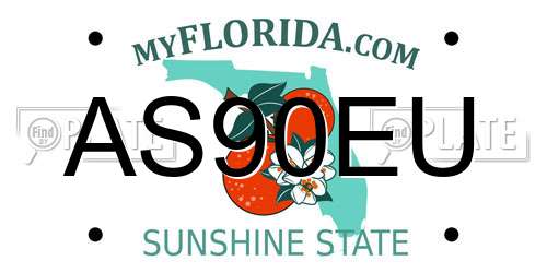 AS90EU Florida License Plate