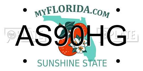 AS90HG Florida License Plate
