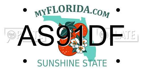 AS91DF Florida License Plate